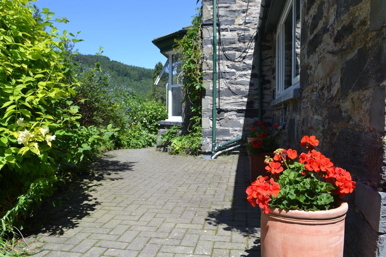 Bed and Breakfast Coed-Y-Fron Бетус-і-Койд Екстер'єр фото